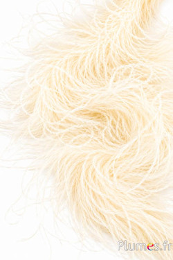 Boa di piume di struzzo - 4 pieghe, 2 m - crema